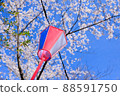 Festival  88591750