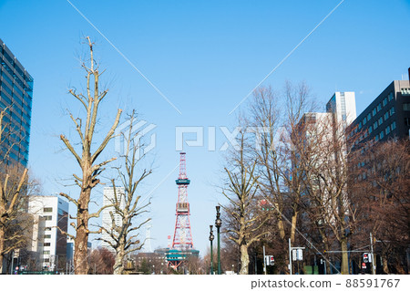 Sapporo Spring Odori Park and TV Tower 88591767
