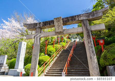 足立山妙見宮和櫻花風景福岡縣北九州市 足立山妙見宮和櫻花風景福岡縣北九州市 88593107