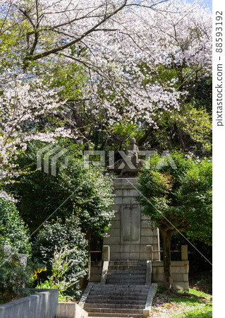 福岡縣北九州市足立山妙見神社和之清麻呂像 福岡縣北九州市足立山妙見神社和之清麻呂像 88593192