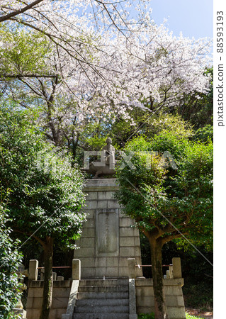 福岡縣北九州市足立山妙見神社和之清麻呂像 福岡縣北九州市足立山妙見神社和之清麻呂像 88593193