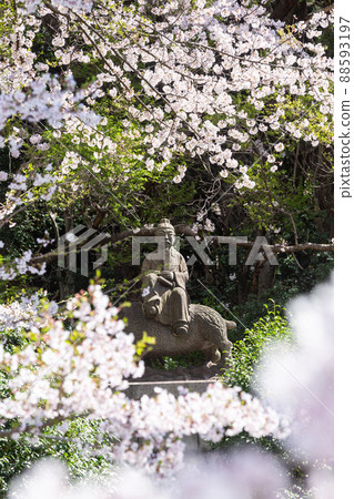 福岡縣北九州市足立山妙見神社和之清麻呂像 福岡縣北九州市足立山妙見神社和之清麻呂像 88593197