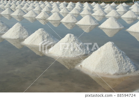 Rows of salt piles in salt-farm, Thailand. 88594724