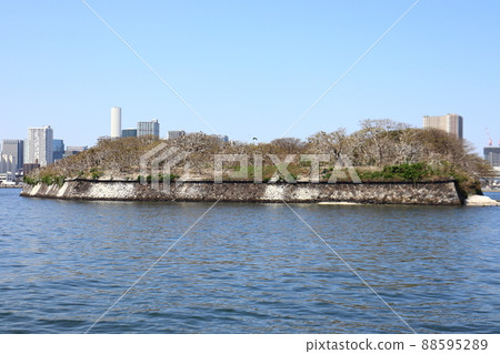 No. 6 Daiba, where seabirds nest and are off limits No. 6 Daiba, where seabirds nest and are off limits 88595289
