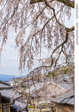 Kyoto Gojozaka Matsubara-dori / Kiyomizu-dera approach Kyoto Gojozaka Matsubara-dori / Kiyomizu-dera approach 88595665