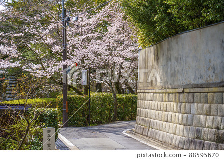 Koushouji Ryoyama Main Mausoleum, Ishin no Michi, the season when the cherry blossoms are in full bloom Koushouji Ryoyama Main Mausoleum, Ishin no Michi, the season when the cherry blossoms are in full bloom 88595670
