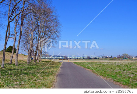 City of Trees Sendai Early Spring Hirose River Right Bank Hachihonmatsu Ryokuchi Daido Suidobashi City of Trees Sendai Early Spring Hirose River Right Bank Hachihonmatsu Ryokuchi Daido Suidobashi 88595763