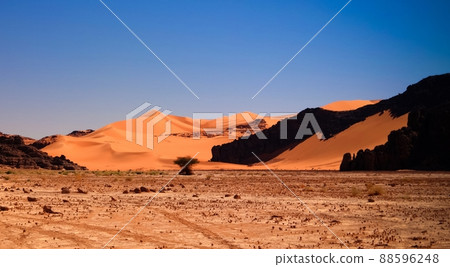 Abstract Rock formation at Boumediene , Tassili nAjjer national park, Algeria 88596248