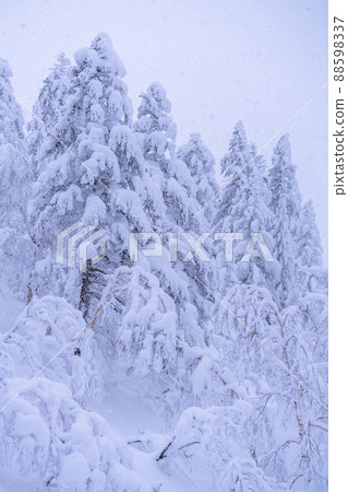 《北海道》大雪霧靄,冬天的十胜山 《北海道》大雪霧靄,冬天的十胜山 88598337