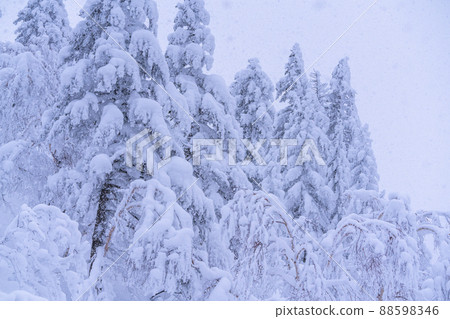 《北海道》大雪霧靄,冬天的十胜山 《北海道》大雪霧靄,冬天的十胜山 88598346