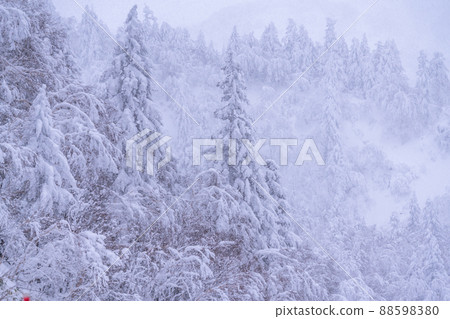 《北海道》大雪霧靄,冬天的十胜山 《北海道》大雪霧靄,冬天的十胜山 88598380