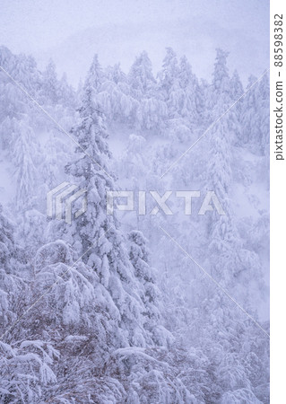 《北海道》大雪霧靄,冬天的十胜山 《北海道》大雪霧靄,冬天的十胜山 88598382