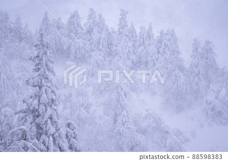 《北海道》大雪霧靄,冬天的十胜山 《北海道》大雪霧靄,冬天的十胜山 88598383