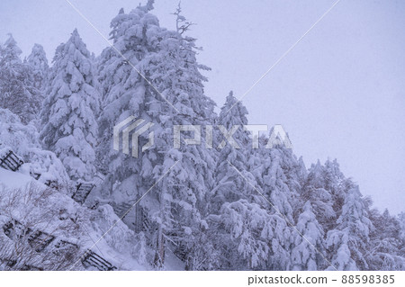 《北海道》大雪霧靄，冬天的十胜山 88598385