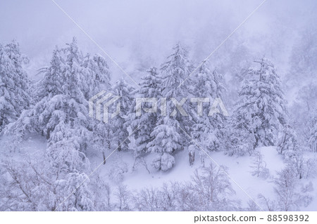 《Hokkaido》 Rime on heavy snowfall, Mt. Tokachi in winter 《Hokkaido》 Rime on heavy snowfall, Mt. Tokachi in winter 88598392