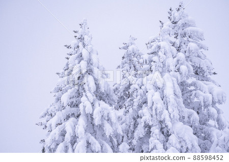 《北海道》大雪霧靄，冬天的十胜山 88598452