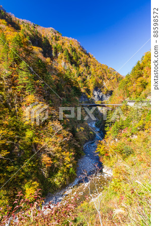 Hakusan Shirakawago White Road Jabiya Ohashi 88598572