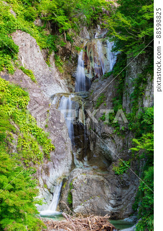 Hakusan Shirakawago White Road Kamoshika Waterfall 88598825