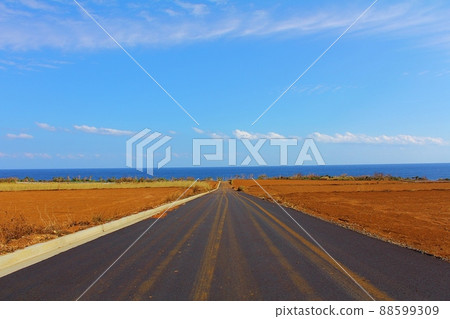 筆直路外的大海 筆直路外的大海 88599309