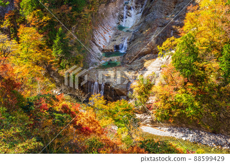 白山白川鄉白路Magataki的紅葉 白山白川鄉白路Magataki的紅葉 88599429
