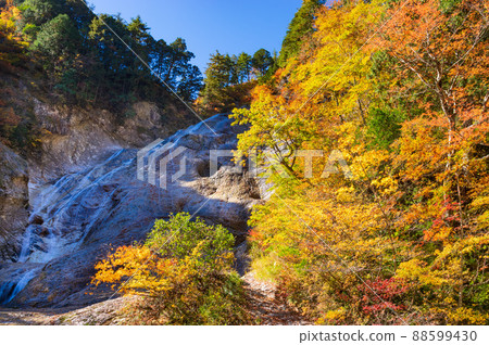 白山白川鄉白路Magataki的紅葉 白山白川鄉白路Magataki的紅葉 88599430