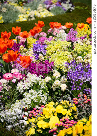 Colorful spring flower bed Colorful spring flower bed 88599679