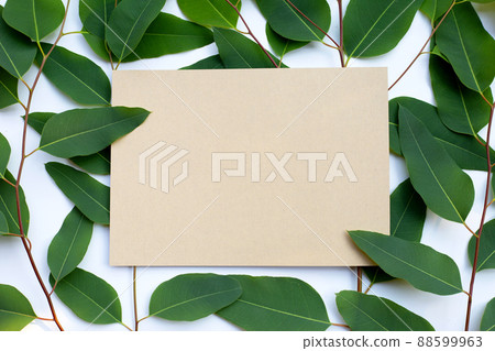 Brown paper with eucalyptus leaves on white background. 88599963