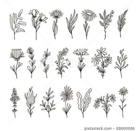 Isolated decorative floral branches. Wildflower twig hand drawn, herb and leaf. Linear organic flowers design elements, art details of wreath and laurel neoteric vector set 88600086