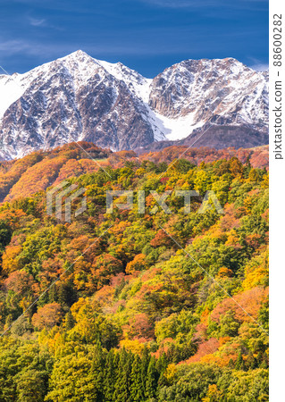 《長野縣》白馬村/三段秋葉在紅葉的高度 《長野縣》白馬村/三段秋葉在紅葉的高度 88600282