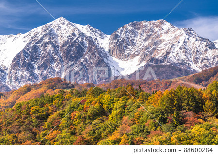 《長野縣》白馬村/三段秋葉在紅葉的高度 88600284