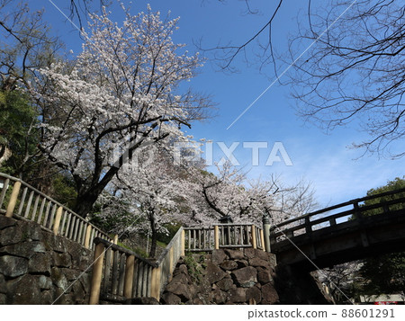 Otonashi Water Park Sakura, Kita-ku, Tokyo 88601291