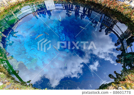 山梨縣忍野村中池早春的忍野八海 山梨縣忍野村中池早春的忍野八海 88601778