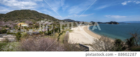 Civic beach in Kami-kamagari Town, Kure City, Hiroshima Prefecture, where cherry blossoms bloom 88602287