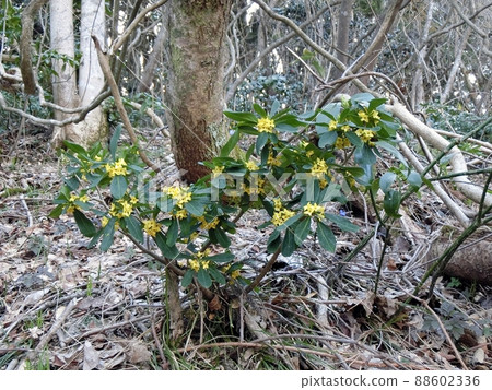 浪和津（秋田市下濱八田） 88602336