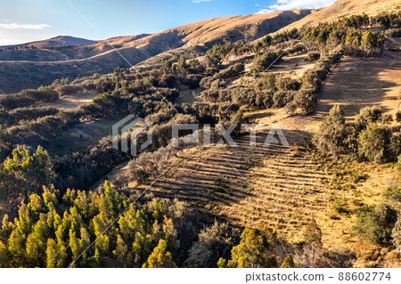 Incan terraces at Bosque Dorado near Huancayo in Junin, Peru 88602774