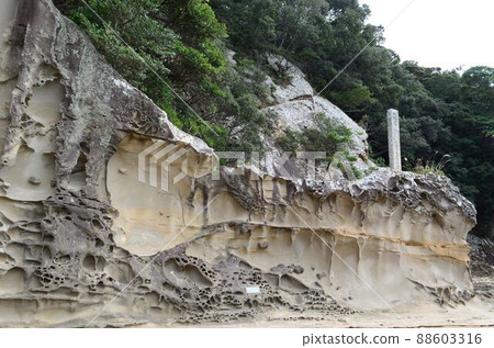 高知龍串海岸 高知龍串海岸 88603316