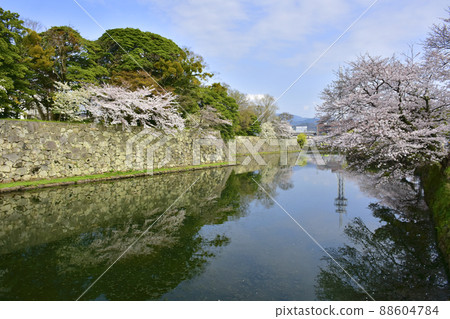 100 Fine Castles of Japan, Hikone Castle in March, Sakura in the outer moat on the south side 88604784