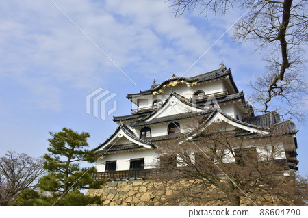 The front of the 100 fine castles of Japan, Hikone Castle castle tower 88604790