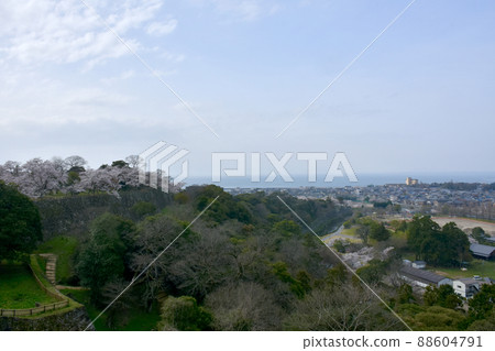 100 Fine Castles of Japan, Hikone Castle in March, scenery from the lectern 88604791