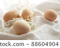 Chicken eggs on white background, selective focus. Happy easter background. 88604904