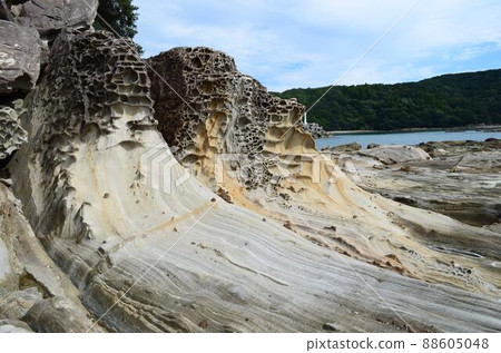 Kochi Tatsukushi Coast 88605048