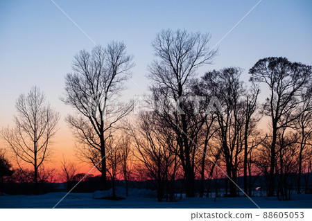 Natural scenery of Hokkaido dyed by the setting sun Natural scenery of Hokkaido dyed by the setting sun 88605053