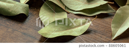 Dry bay leaves panorama on a dark rustic wooden background Dry bay leaves panorama on a dark rustic wooden background 88605061