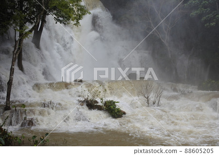 Kuang Si Waterfall Luang Prabang 88605205