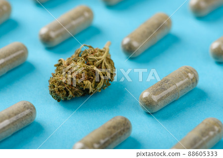 CBD cannabis flower bud among capsules pattern 88605333