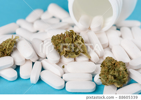 CBD cannabis flower buds on heap of capsules from open bottle on blue background 88605339