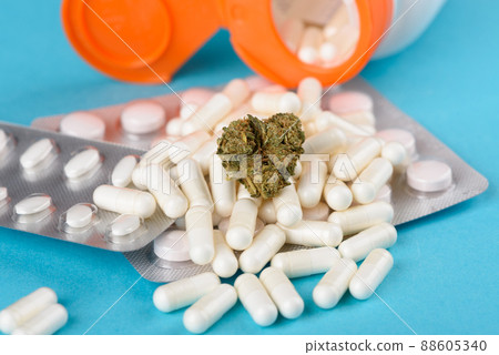 CBD cannabis flower bud on heap of capsules from open bottle and medical pills blisters CBD cannabis flower bud on heap of capsules from open bottle and medical pills blisters 88605340