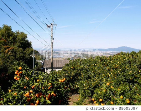 View from Tensuimachi Oama (Tamana City, Kumamoto Prefecture) View from Tensuimachi Oama (Tamana City, Kumamoto Prefecture) 88605397