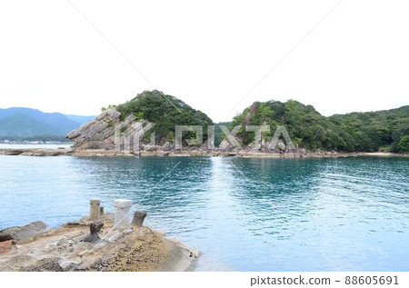 高知箕越海岸 88605691