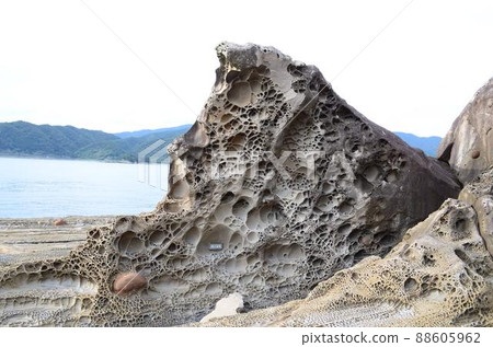 高知箕越海岸 88605962